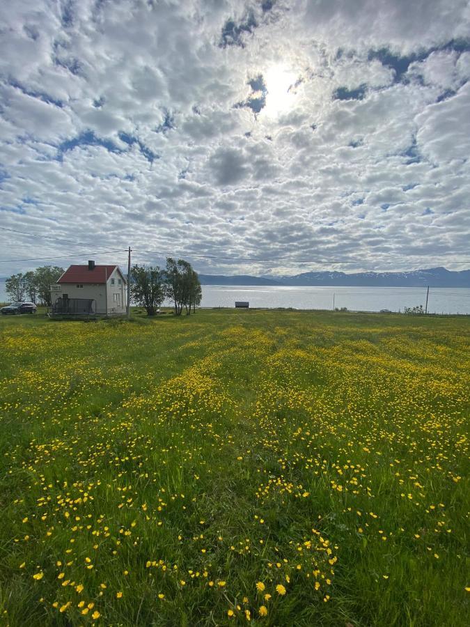 Unique And Charming Holiday Home With Fantastic Sea Views Tromsø Extérieur photo
