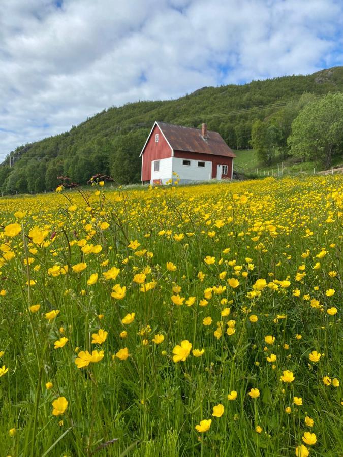 Unique And Charming Holiday Home With Fantastic Sea Views Tromsø Extérieur photo