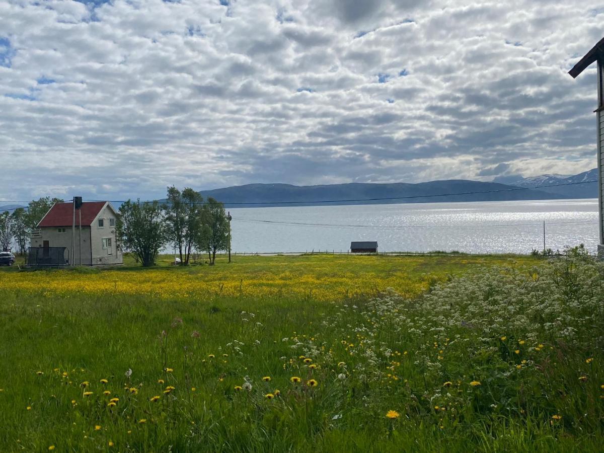 Unique And Charming Holiday Home With Fantastic Sea Views Tromsø Extérieur photo