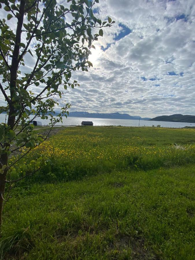 Unique And Charming Holiday Home With Fantastic Sea Views Tromsø Extérieur photo