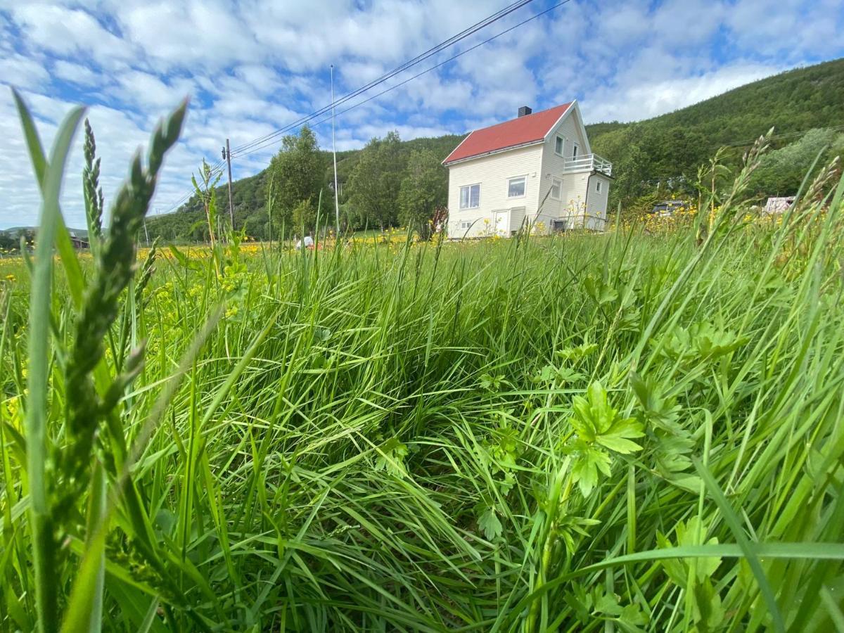 Unique And Charming Holiday Home With Fantastic Sea Views Tromsø Extérieur photo