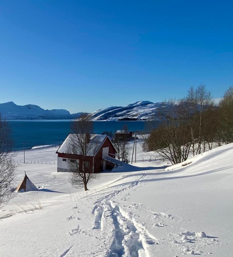 Unique And Charming Holiday Home With Fantastic Sea Views Tromsø Extérieur photo
