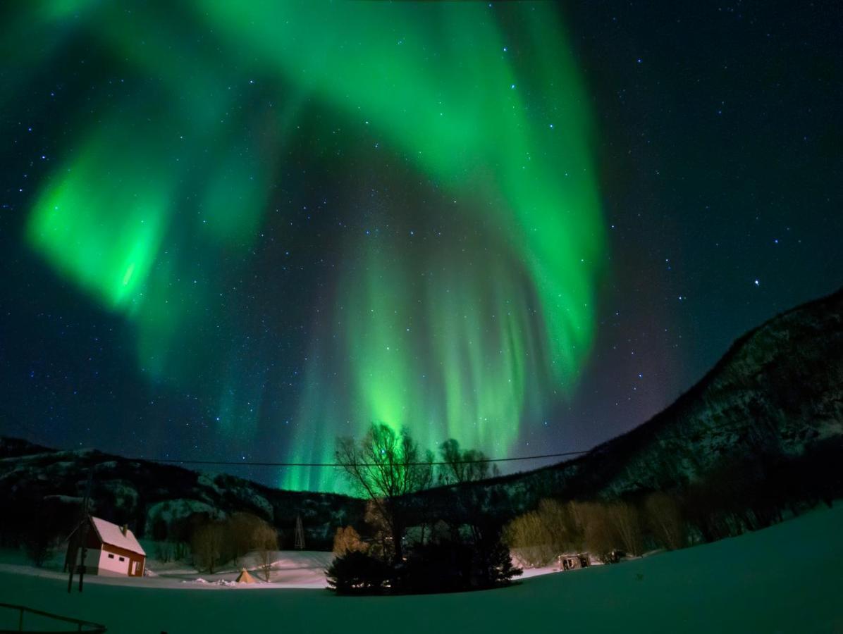 Unique And Charming Holiday Home With Fantastic Sea Views Tromsø Extérieur photo